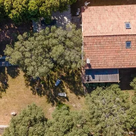 Colombo Bonifacio (Corsica)