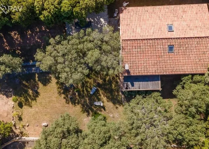 Colombo Bonifacio (Corsica)